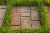 Tan and beige stepping stone path on grass lawn in backyard in summer.