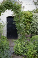 Rosa 'Francis E Lester' frames the stable door and is underplanted with Alchemilla mollis, Nepeta 'Six Hills Giant', Allium 'Purple
Sensation' and Geranium 'Orion'.