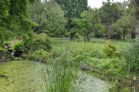 View across the pond at Ness Botanic Garden, Liverpool, September