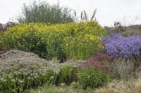 Mixed border of grasses and perennials at Ness Botanic Garden, Liverpool, September