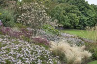 Mixed border of grasses and perennials at Ness Botanic Garden, Liverpool, September