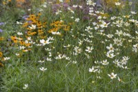 Mixed border of wildflowers at Ness Botanic Garden, Liverpool, September