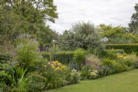 Mixed perennial border in yellow and blue tones, July