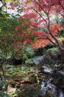 The Japanese Garden at Compton Acres, Dorset in November