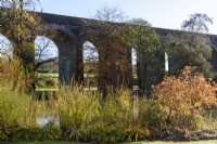 Cornus by the lake at Kilver Court Gardens, Somerset in November