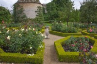  View along gravel path to centre of parterre with sundial. Box-edged beds filled with roses - Waterperry Garden, Oxfordshire