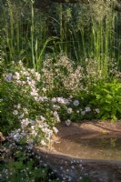 Roses, ferns and saxifraga surround a water bowl handmade from waste material on The Nurture Landscapes Garden designed by Sarah Price with Iris 'Benton Susan' and - RHS Chelsea Flower Show 2023