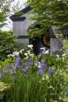 View past Iris sibirica 'Silver Edge' and Zantedeschia 'Crowborough' to temple on the- Myeloma UK - A Life Worth Living Garden - designer Chris Beardshaw - RHS Chelsea Flower Show 2023