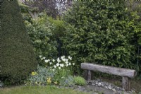 Wooden bench in the Reclaimed Garden at Barnsdale Gardens, April