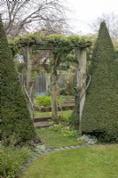 Topiary cones in the Reclaimed Garden at Barnsdale Gardens, April