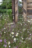 Wildflowers in front of Raw recycled materials in 'Inspiration in the Raw' garden at BBC Gardener's World Live 2018