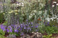 Mixed perennial border in 'Useful and Beautiful', an insect and pollinator-friendly garden in the Beautiful Borders Section at Gardener's World Live 2108