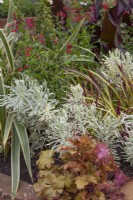Foliage in 'Wrapped up in Nature' - Beautiful Borders - BBC Gardener's World Live 2018