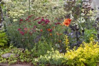 'Useful and Beautiful', an insect and pollinator-friendly garden in the Beautiful Borders Section at Gardener's World Live 2108