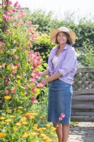 Woman picking Lathyrus 'Geranium Pink' - Sweet Peas