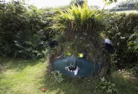 The Green Monster; a sculpture made of an old oil tank and bits of plastic. The eyes on the monster are lit up green and its hair is a profusion of crocsmia, monbretia. A hedge runs behind. Harbour Lights, Devon NGS garden. July. 