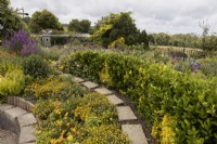 A curving paving slab path curves through the image with a 
circular, sunken area to the left. A profusion of yellow and orange flowering plants are to the left of the path while a euonymus hedge runs to the right. Harbour Lights, Devon NGS garden. July. 