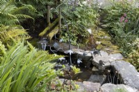 A metal sculpture with leaves in the middle of a small pond, surrounded by foliage with a small rill and waterfall in the background. Harbour Lights, Devon NGS garden. July. 