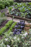 Vegetable garden, with step-over apple at front, and paving stones used as edging for gravel path