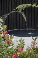 Small courtyard garden with a large container pond fed with a spout in the shape of a fern leaf