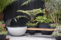 Small courtyard garden with a wooden bench and containers of Tree Ferns and a large container pond fed with a spout in the shape of a fern leaf