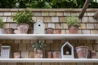 Small courtyard garden with cedar 'shingle' fence and shelves covered with terracotta pots filled with herbs