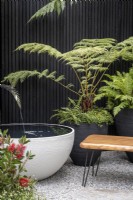 Wooden bench in small courtyard garden with containers of Tree Ferns and a large container pond fed with a spout in the shape of a fern leaf