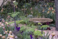 Still water bowl, made of waste aggregate, surrounded with bearded Iris in a dry garden