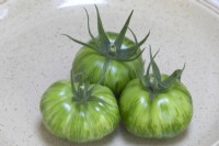 Solanum lycopersicum tomato  'Green Striped' tomato 