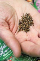 Wildflower seed mix in palm of hand