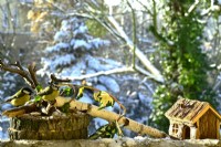 Two Parus major - Great Tit perched on branch on balcony in winter. View from balcony onto the garden.