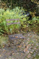 Folding seat on brick paving in a December garden