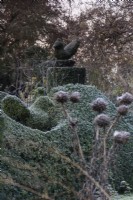 Clipped box hedge with a perched bird at Balmoral Cottage, Kent on a frosty December morning
