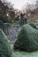 Clipped box hedges at Balmoral Cottage, Kent on a frosty December morning.