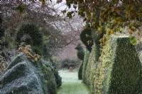 Clipped box hedges at Balmoral Cottage, Kent on a frosty December morning.