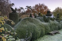 Clipped box hedge surrounded by yew topiary including birds at Balmoral Cottage, Kent in December