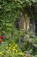 Gothic style faux leaded window set amongst foliage on a fence with refection of garden. Vitis vinifera 'Purpurea', Parthenocissus quinquefolia. July