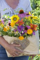 Woman holding paper bag with harvested edible flowers including sunflowers, monarda, coneflowers, hemerocallis, pot marigolds and chamomile.
