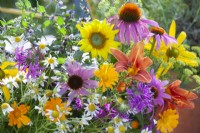 Bunch of harvested edible flowers including sunflowers, monarda, coneflowers, hemerocallis, pot marigolds and chamomile.