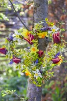 Heart shaped wreath made of tulips, daffodils, muscari and golden Japanese Euonymus hanging from a tree.