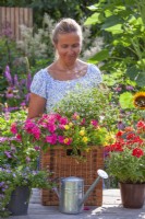 Woman planting wicker box with Impatiens, Surfinia and Euphorbia.