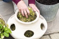 Woman placing moss in the strawberry planter