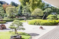 Raked gravel with placed rocks known as karesansui with pine trees in area called the Stone garden. 