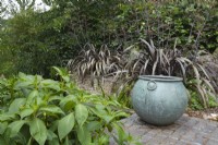 Bronze pot by the ponds with Phormium 'Black Velvet' and Impatiens tinctoria