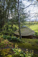 View across Erythroniums and Azaleas towards the wooden chapel at Greencombe Gardens in Devon