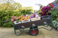 Trolley of cut flowers in the walled garden at Parham House, West Sussex in September