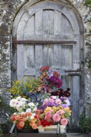 Barrow of cut flowers in the walled garden at Parham House, in September