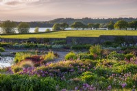 Sunrise view over the gravel garden towards Blagdon Lake - alliums and mixed planting flower beds and small pond 