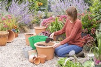 Woman covering layers of bulbs in large terracotta container with compost