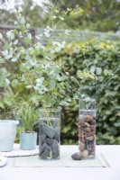 Eucalyptus sprigs and Foenicum vulgare - Fennel in tall thin glass vases filled with stones to keep the stems in place